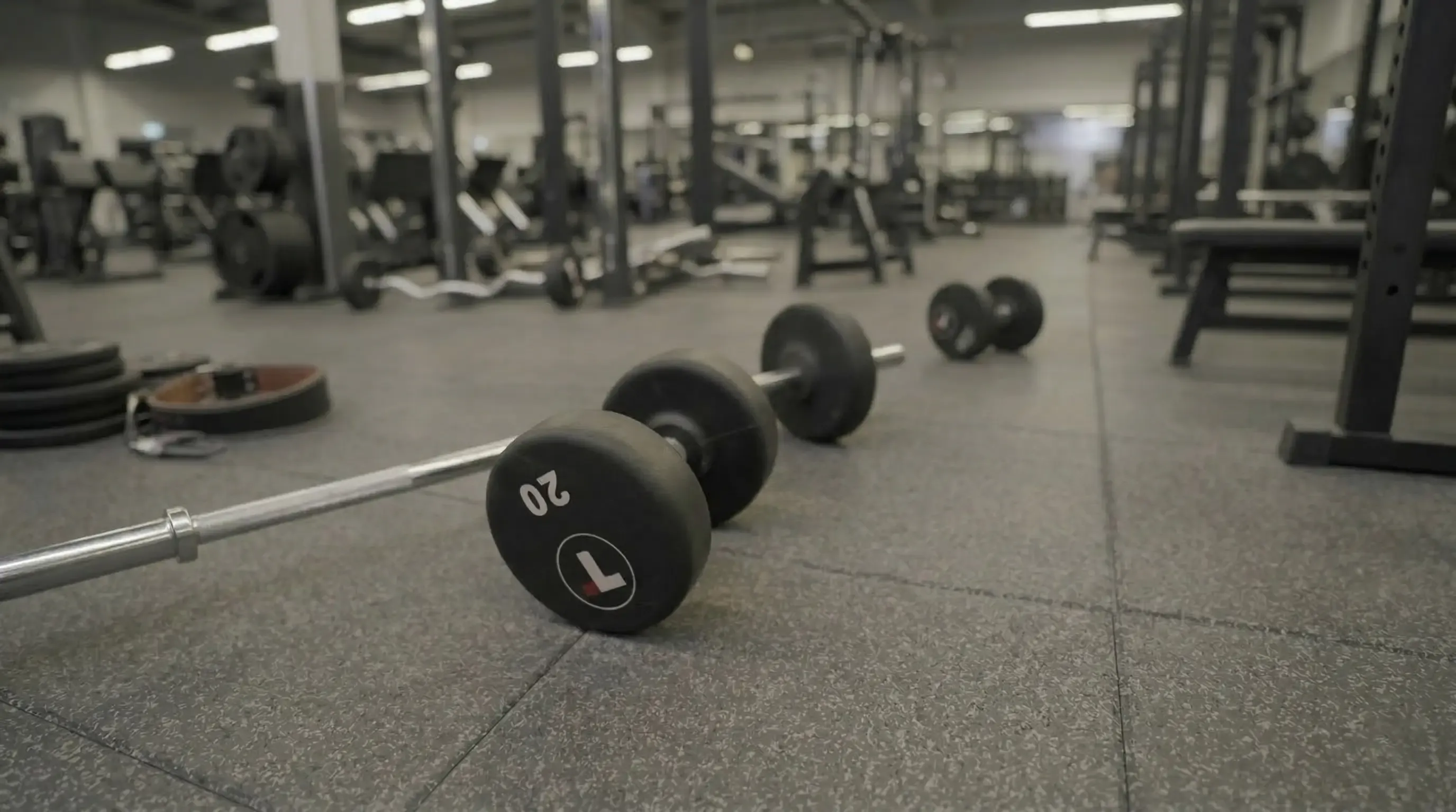 Online Training Focus